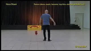 Hora Shani - Demo | הורה שני - הדגמה