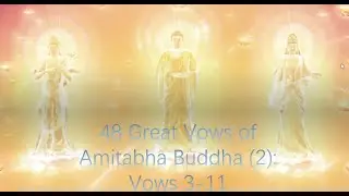 Sutra Talk | 48 Great Vows of Amitabha Buddha (2): Vows 3-11