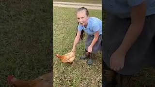 Как поймать курицу: основы