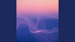 Velvet Dub