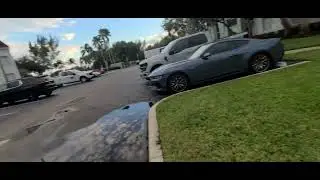 My q lite duck flying