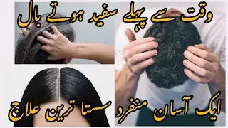 Premature Grey Hair treatment/Safeed Balon Ko Kala Karny Ka Aasan Or Munfarid Tarika