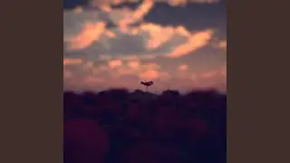 Hope you're doing well (Demo)