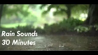 30 Minutes 🌧Rain Sounds for Sleeping | Relaxing | Meditation | Calming | Peaceful