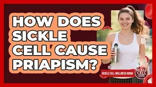 How Does Sickle Cell Cause Priapism?