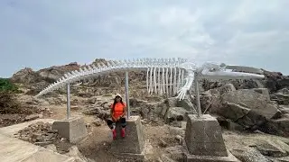 Поход к мысу д’Агилар