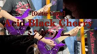【Guitar Cover】Acid Black Cherry『ジグソー』