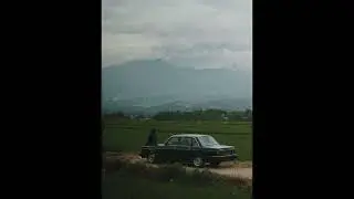 [free for profit] 