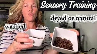 Beyond the Roast: Exploring Washed vs. Natural Coffee
