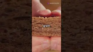 Whole Wheat Bread is a SCAM (Do This Instead) 🏷️🍞 #facts