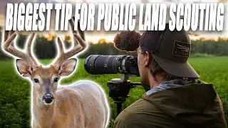 Summer Scouting Public Land Whitetails | Tips for Big Buck Success