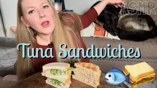 TUNA SANDWICHES 🐟🥪 ~ ASMR MUKBANG Relaxing Eating Sounds 먹방