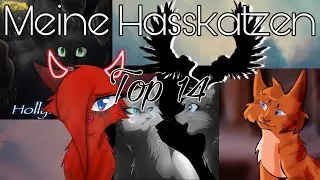 Warrior Cats • Meine Hasskatzen | Top 14 | Flammenstern