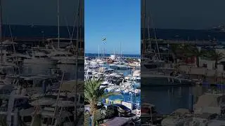 #Tenerife 🌞🛳 #Puerto Colon #Excursiones⛵️