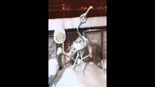 Winter storm Nemo 12 hour time lapse