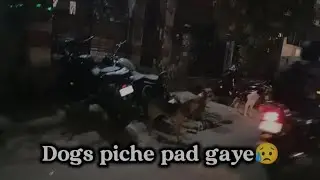 Dogs🐶 gaadi ke piche kyu bhagte hai 😭|| 6 mahine mein 1 lakh kamane ka challenge ❤️