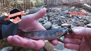 ADK Wild Brown/Brook Trout Fishing (Found The Biggest Brown Of My Life)