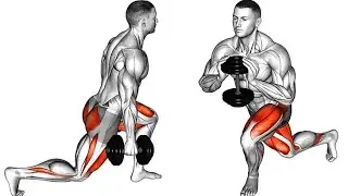 You Should Try These Leg Workout @FitWorkout20 