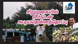 சிறுமுகையில் வீட்டுடன் கூடிய தென்னை மற்றும் பாக்கு தோப்பு விற்பனைக்கு...