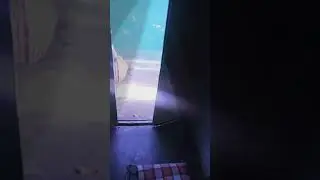 😂😂1 vayathu kolanthai vilaiyatum katchiye parunga nanbarkale.....