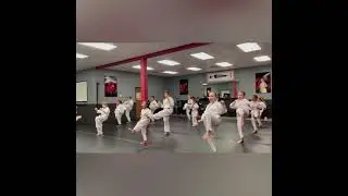 White Belt Class: Kihon - Basics