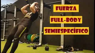 FUERZA FULL-BODY - Adaptaci&oacute;n Anat&oacute;mica (Fin) Vol. 3