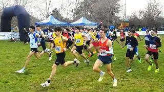 2026 02 01 - XVI&deg; CROSS CITTA' DI PADERNO DUGNANO - Gianola campione regionale Cross cat JUNIORES