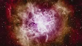 Cosmic Magic: Stars Form a Christmas Tree? Unbelievable!