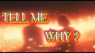 KRMMUSIC X WALAK ( TELL ME WHY ) OFFCIAL VISUALIZER 