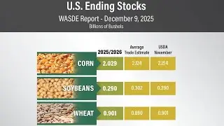 USDA Cuts U.S. and Global Corn Ending Stocks in Dec WASDE