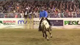 Walla golden arrow & Pierluigi Chioldo 222 Italian futurity 2017