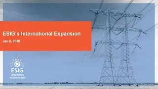 Webinar: ESIG's International Expansion