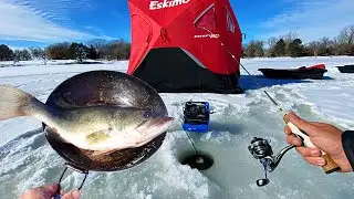 Pond Bass Catch n' Cook while Ice Fishing