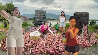 Crazy moment! Truck full of ducks turns wild &mdash; farmers couldn&rsquo;t handle the stubborn flock!