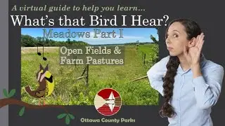 What's that Bird I Hear?  Meadows Part 1:  Open Fields & Farm Pastures
