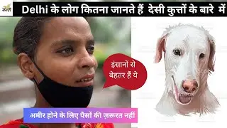 People React on Indian Dogs | Indian dog breeds vs foreign dog breeds