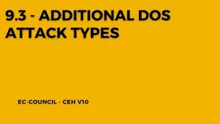 Exploring Additional DoS Attack Types: Beyond the Basics of Denial-of-Service
