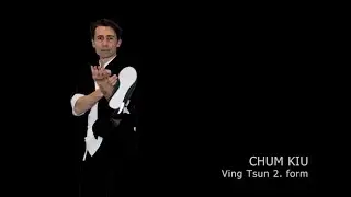 Chum Kiu - Ving Tsun second form - slow and fluid