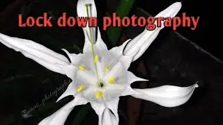#LockDownphotography nature photography #photography #nature / part-1