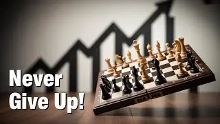 Fight back! Chess Strategy for Beginners