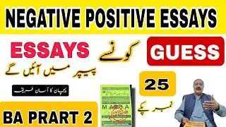 Multi Essays Guess | BA ENGLISH PART 2 | Easy Way To Crack The Paper | Prof Tanveer