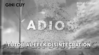 Disintegration effect AMV in capcut