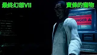 最終幻想VII 寶條的寵物