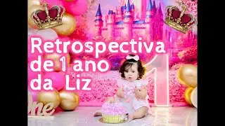 Retrospectiva de 1 ano da Liz...