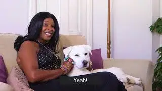 Sandi Bogle Watches Footage from a Korean Dog Meat Trade