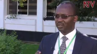 Experts call on African governments to prioritize conservation of forests