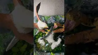 EAGLE vs ANACONDA SNAKE / River Diorama / Polymer Clay