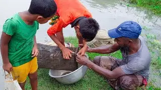 Amazing chai Trap Fishing || Unique Fish Trap Of Catching fish🐟