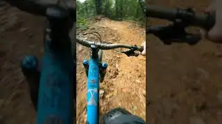 RAW SHORTS - Cagnolera Dh 2021 #shorts #raw #cagnolera