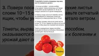 #полезныесоветы #сад #огород #хочуврек
